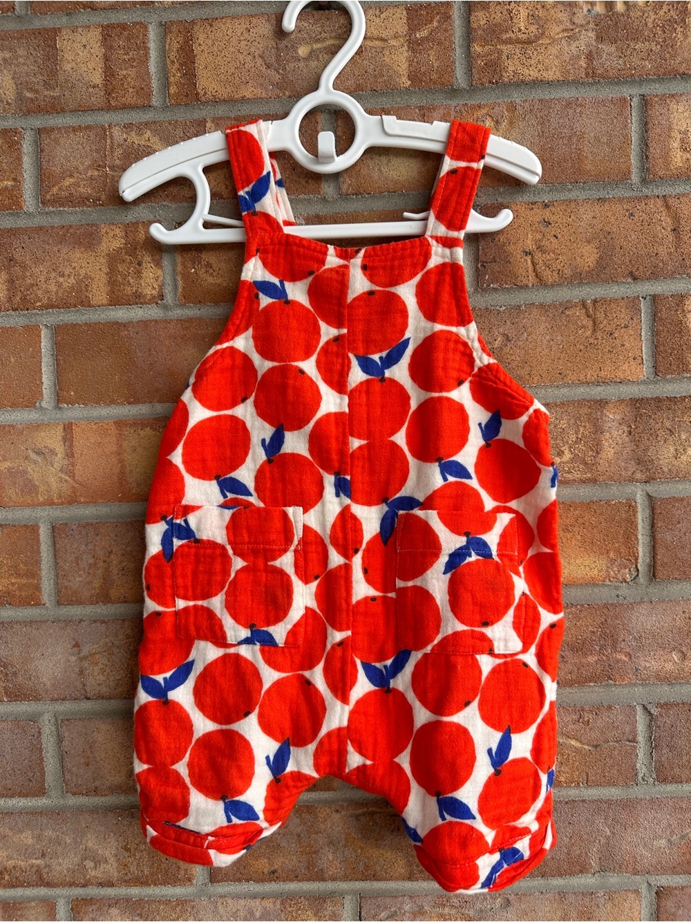 Hanna Andersson Red & Blue Fruit Print Overalls